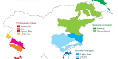 Peta dari Slovenia anggur